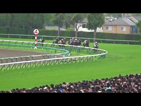 2018 皐月賞    エポカドーロ Japanese 2000 Guineas Epoca d'Oro