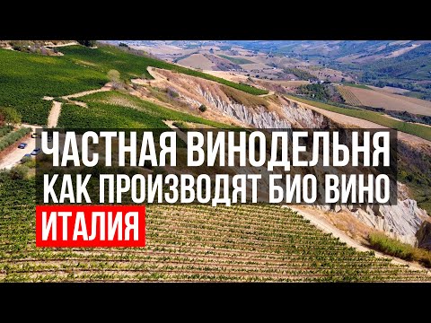 Экскурсия на частную винодельню Медведева. Производство био вина. Италия.