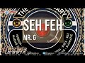 Mr G - Seh Feh ▶Anniversary Riddim ▶Mr G Music ▶Reggae ▶Dancehall 2015