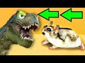 🐹Dinosaur Hamster Maze with Traps 😱[OBSTACLE COURSE]😱