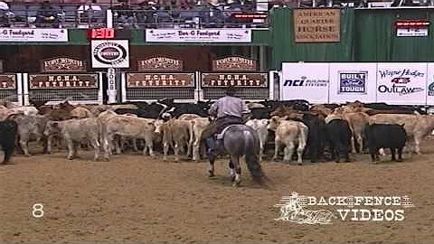 Metallic Cat - NCHA Futurity