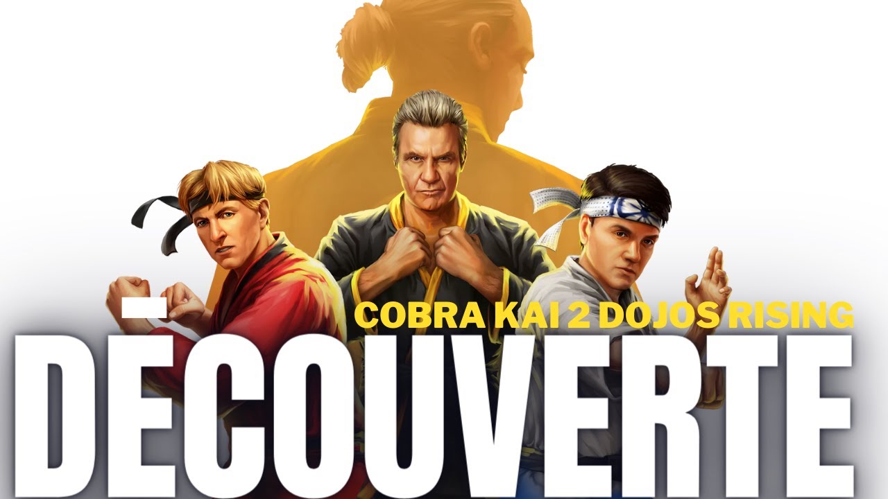Jeu PS5 Cobra Kai 2 Dojos Rising - Version Européenne Neuve Et Scellée (multi-langues)