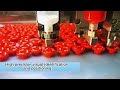 How to fill paint in plastic buttons--By using Weldo Vision dispensing machine