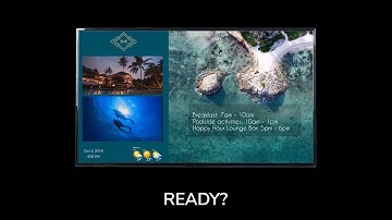 Brand any screen in minutes with Elementi