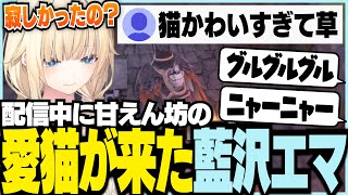 配信中に甘えん坊の愛猫がきた（うちの子たちかわいすぎる）【ぶいすぽっ！/ 藍沢エマ/ARK/ミドルアイランド】