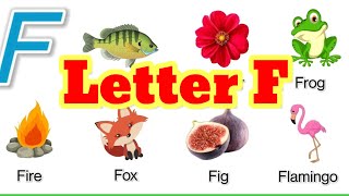 Letter F words|| words start with letter F|| letter F words with picture