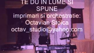 TE DU IN LUME SI SPUNE - Octavian Stoica