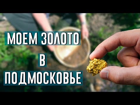 Экспедиция за золотом в Подмосковье/Клондайк/Добыча золота/Моем золото/Золотая лихорадка/Старатель