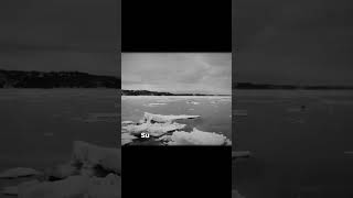 Terror En La Antártida