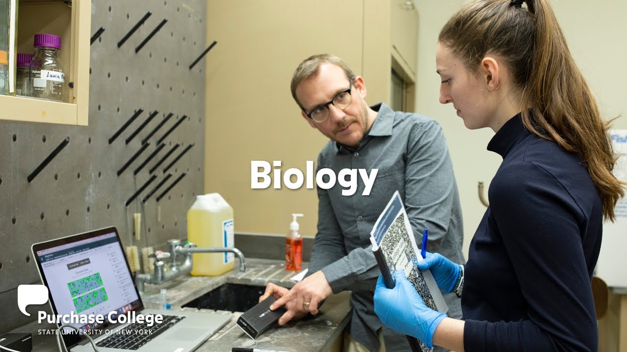 Purchase College Biology