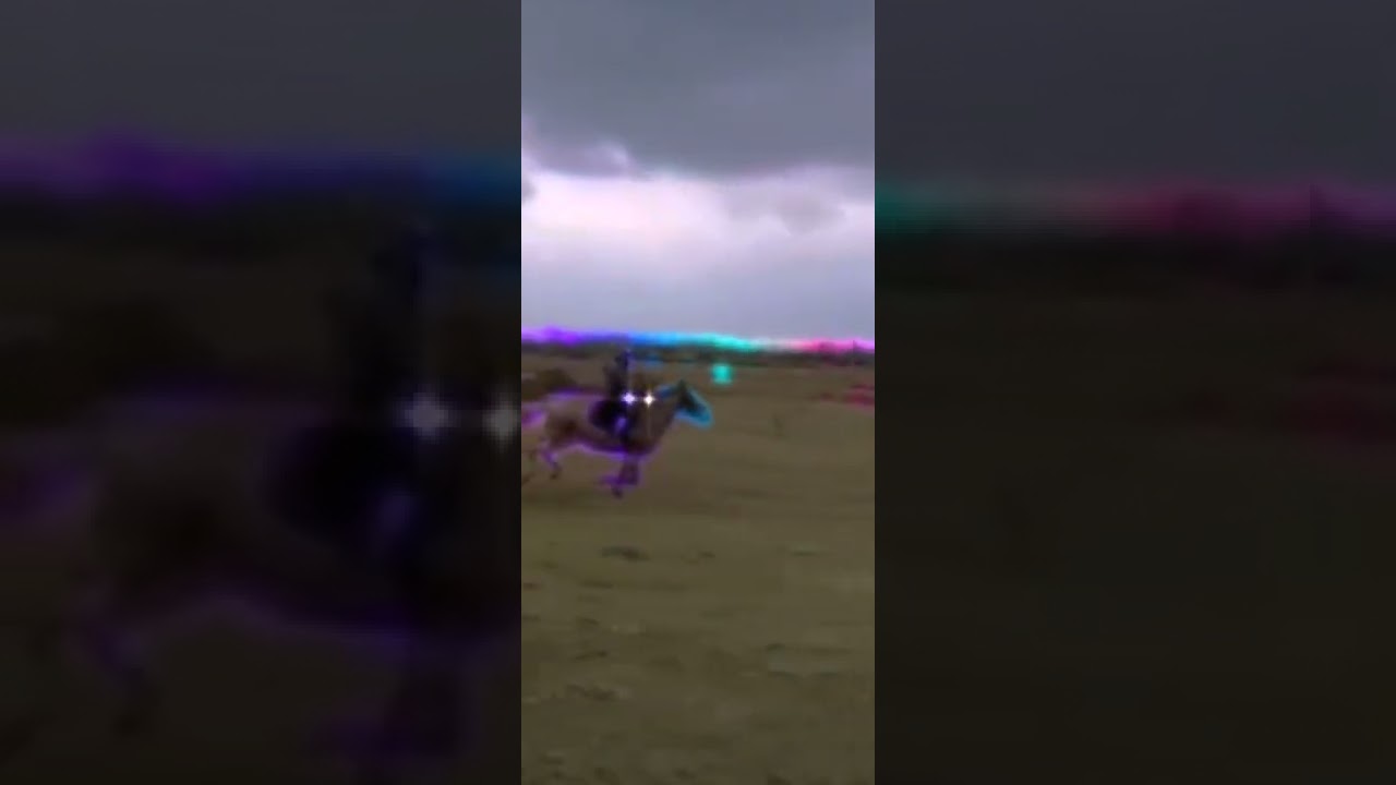 Lexi and jingles edit!