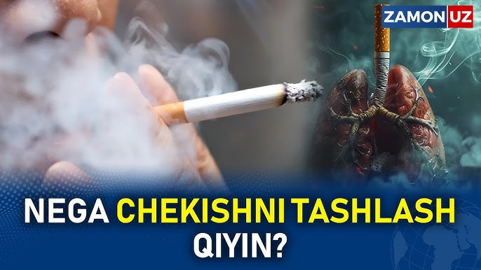 Ozbek mushukining surati