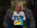 Почему Атлетико называют матрасниками, а Леганес — огуречниками. Секрет прозвищ Ла Лиги.