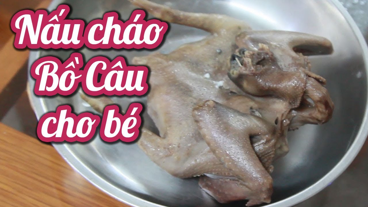 Hướng dẫn Cách nấu cháo chim bồ câu – Cháo BỒ CÂU bổ dưỡng giúp bé tăng cân, món ăn cho bé còi xương, Cháo dinh dưỡng, cháo truyền thống