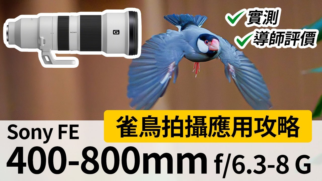 雀鳥拍攝應用攻略 | Sony FE 400-800mm f6.3-8G #攝影教學 @SonyHongKong 縮圖