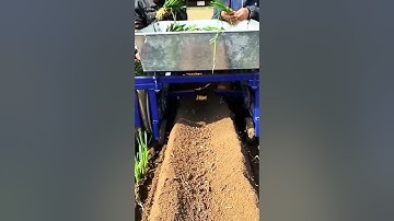 Green Onion Planting Machine – Good Tools Can Increase Work Efficiency #Tools #Farming #Efficiency