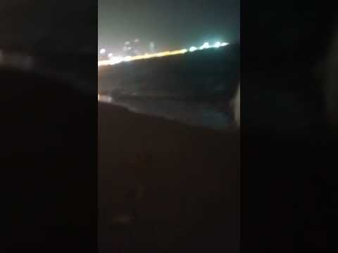 سمك يميام كويتي صاده الصياد الكبير البطل الفلسطيني جبران أيوب الصايغ