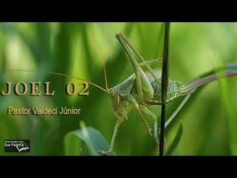 Joel 02 - Reavivadospsp  - Pastor Valdeci Júnior