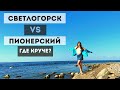 СВЕТЛОГОРСК VS ПИОНЕРСКИЙ: город в лесу, раушен, лучшая смотровая площадка, часы, санатории, берег