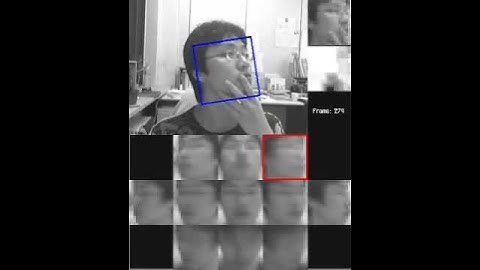 Face tracking and pose recognition with occlusion problem #1