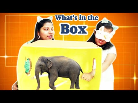 what's-in-the-box-challenge-😢-#chandshivlogs-#missaaghnyakumar