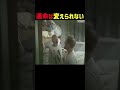 運命は変えられない