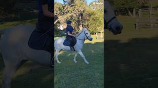 I dropped a pin who wants it 📌 |~| #horsey #horseenthusiast #equestrian #funny #fyp #music #song #hi I dropped a pin who wants it 📌 |~| #horsey #horseenthusiast #equestrian #funny #fyp #music #song #hi