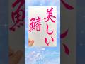 美しい鰭 #書道 #毛筆 #calligraphy