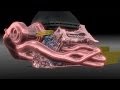 2014 F1 Mercedes Hybrid turbo V6 Power Unit explained