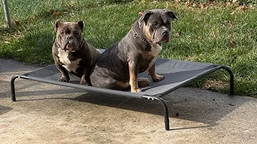 Her hair Looks Amazing - Let’s Try Some New Food ( Bossman weezy )  good old fried chicken 