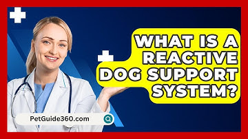 What Is A Reactive Dog Support System? - PetGuide360.com