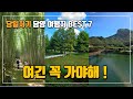 담양 여행 추천! 당일치기로 가기 좋은 명소 7곳 | 죽녹원·메타세쿼이아길·맛집까지~ | 담양 가볼만한곳 | 전라도 여행