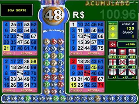 Www.bingoflash.com