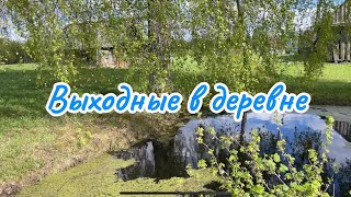 Выходные в деревне. Отдых от городской суеты