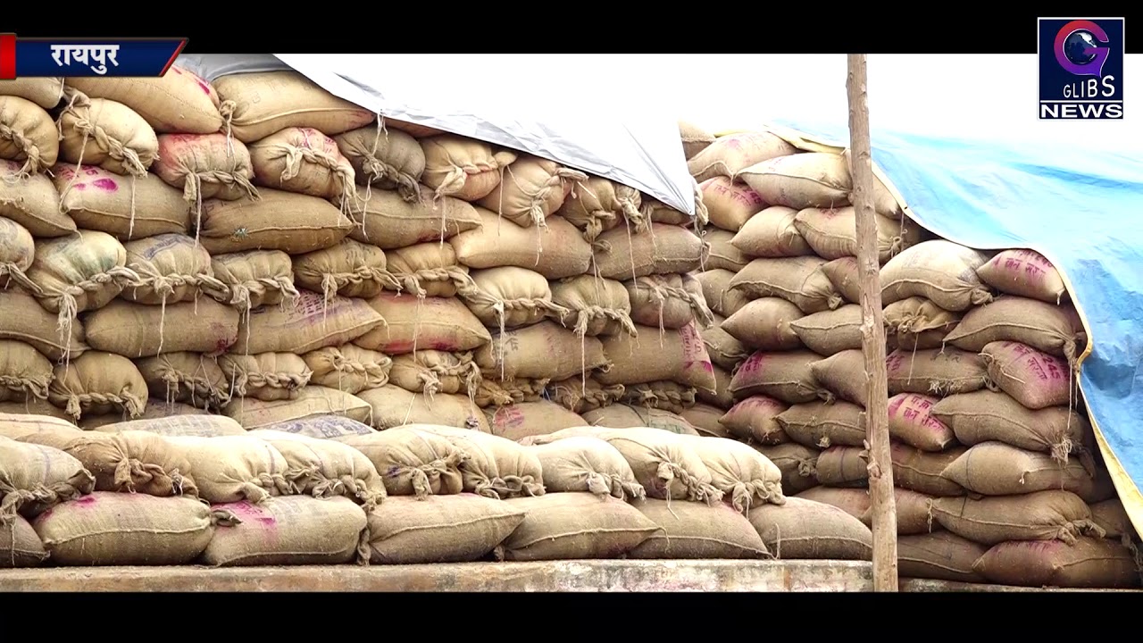 Exclusive : सहकारी समिति ने रखा खुले में धान, बारिश में भीगा हजारो टन धान gossip magazines