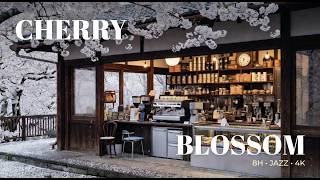 Cherry Blossom Café Japan 🌸 5 Hours of Soft Jazz for Deep Focus & Study | 4K Sakura Ambience screenshot 2