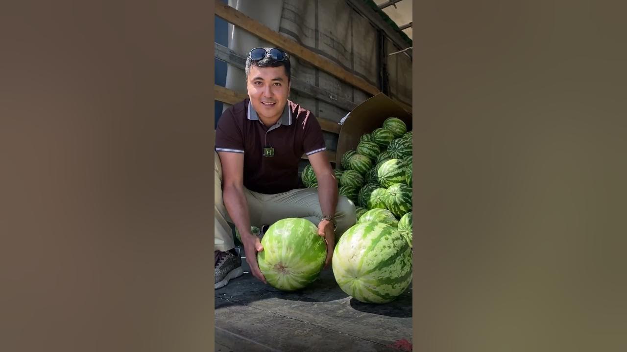 Порно актриса Таня Таняның фильмографиясы