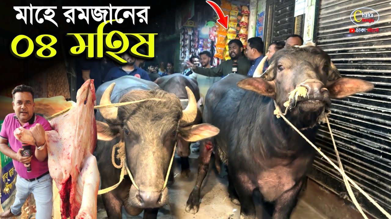 রমজানে 'গরু ৬৪০ মহিষ ৭৫০ টাকা' পুরান ঢাকার নয়নের মাংসের দোকানে! Beef price BD