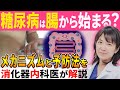 【糖尿病を予防】血糖値を上げない為の腸内細菌の作り方を医師が解説