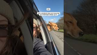 Were Going On A Road Trip