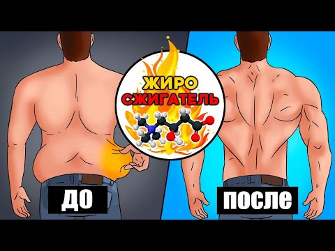 Как работают Жиросжигатели| Мифы и Реальность