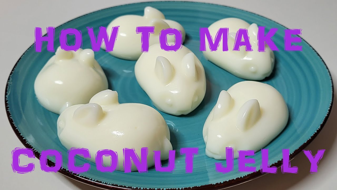 how to make coconut jelly essay