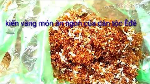 Kiến vàng giá chung với đu đủ món ăn cực ngon của dân tộc Êđe