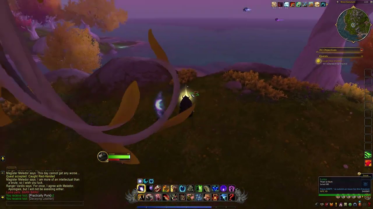 Задание "Пойман с поличным", ID 88979, WoW