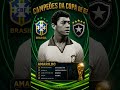 🇧🇷 CAMPEÕES DA COPA DO MUNDO DE 1962 — A GLÓRIA ETERNA DO BRASIL ⚽🏆
