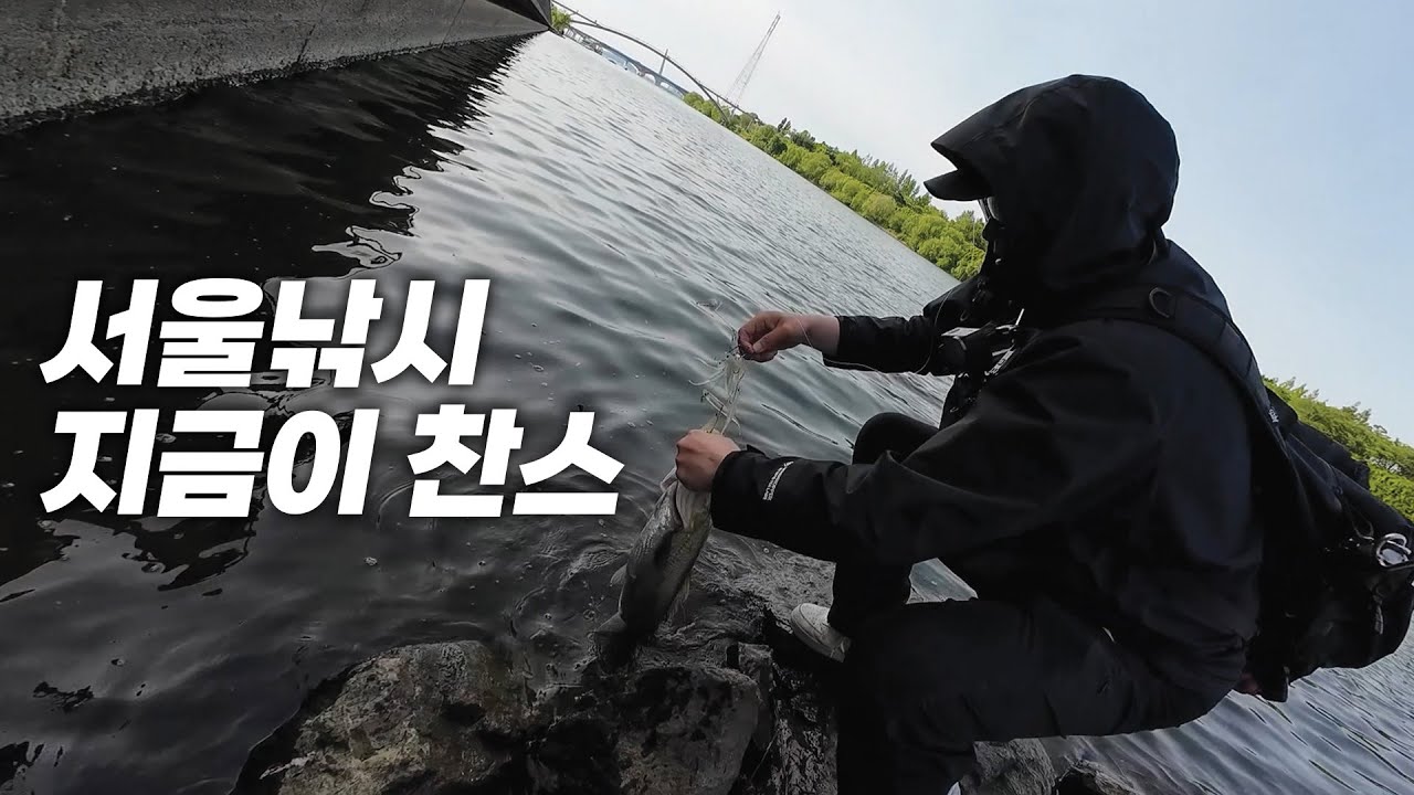 한강 자주 가야지~ 배스도 있고~ 치킨도 있고~ [강타모 ep.03]