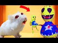 🐹 KICK THE BUDDY Maze With Hamster rescue Traps 🐹Game In Hamster Stories