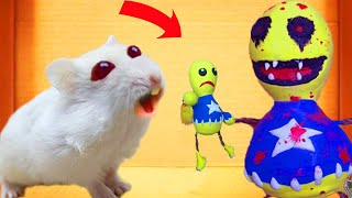 🐹 KICK THE BUDDY Maze With Hamster rescue Traps 🐹Game In Hamster Stories