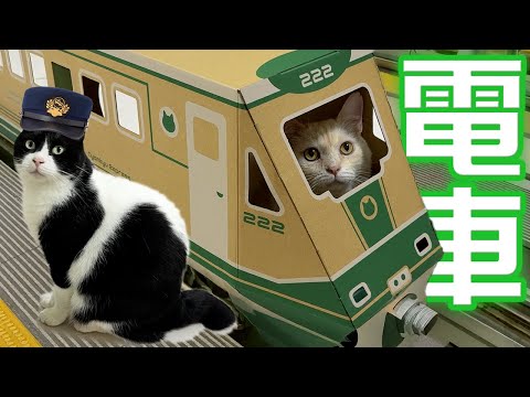 クロネコニャーゴー クロネコニャーゴー ‌ - YouTube