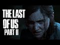 The last of us part ii dunkview